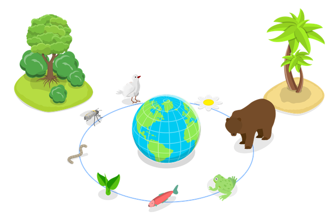 Ecosystem, Biodiversity and Species Variety  Illustration