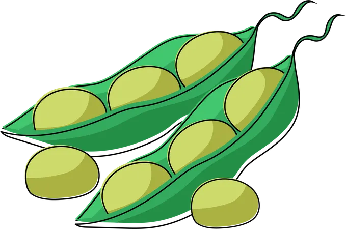 A Cluster Of Edamame Pods Illustrated With Vibrant Green Shades Perfect For Visuals Related To Healthy Snacks Or Plant Based Protein Sources Ilustración