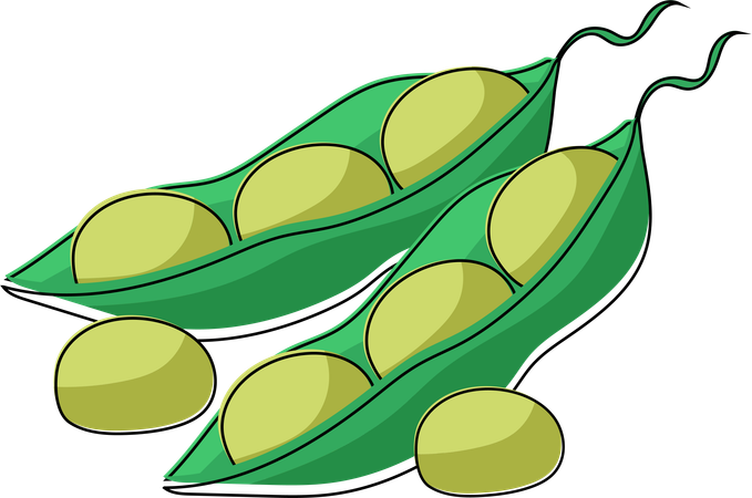 Edamame Pods  イラスト