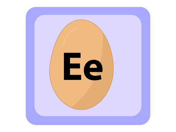 EGG  Illustration