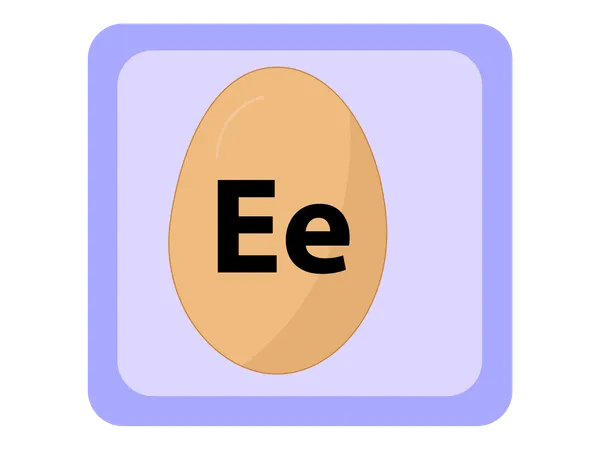 EGG  Illustration