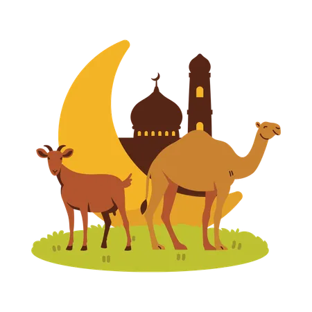 Eid Al-Adha Animals  Illustration