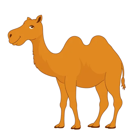 Eid Al Adha Camel  일러스트레이션