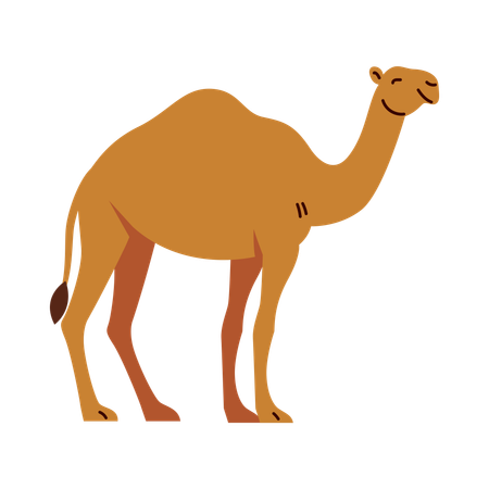 Eid Al-Adha Camel  Illustration