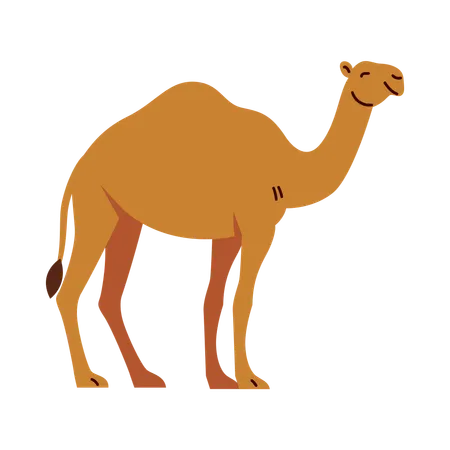 A Simple Flat Design Illustration Of A Camel With Warm Colors And A Cheerful Atmosphere Illustration