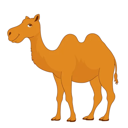 Eid Al Adha Camel  Illustration