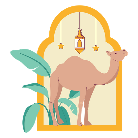 Eid Al Adha Camel  Illustration