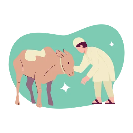 Eid Al Adha Sacrificial Cow  Illustration