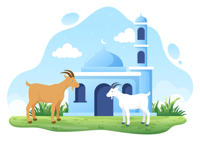 Eid al Adha sheep  Illustration