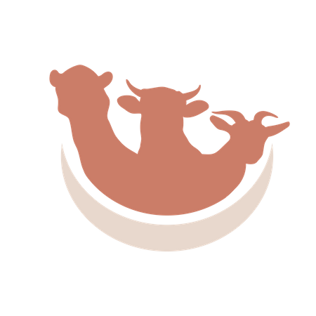 Eid animal  Illustration