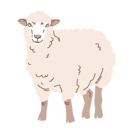 Mouton de l'Aïd  Illustration