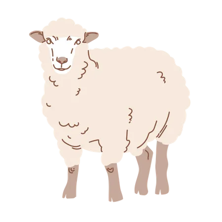 Eid sheep Illustration
