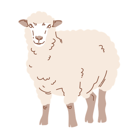 Eid sheep  Illustration