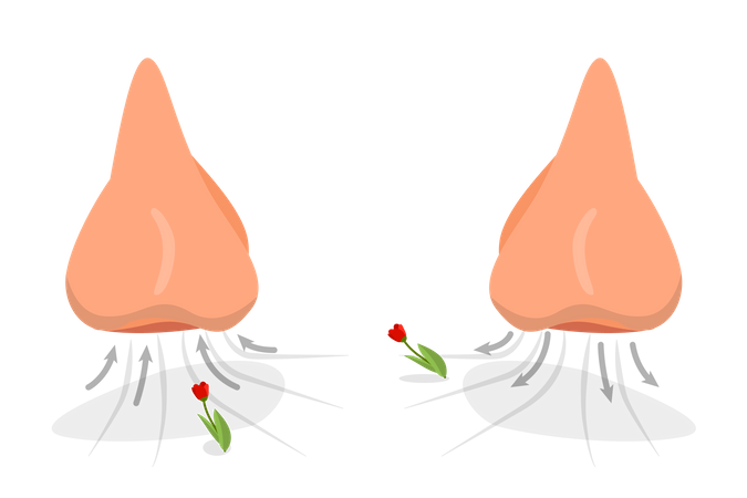 Ejercicio de respiración nasal  Ilustración