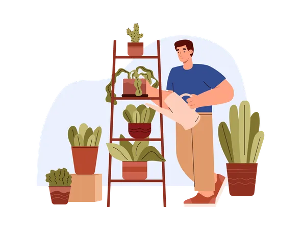 El hombre riega y lava el polvo de las plantas de la casa.  Ilustración