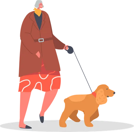 Elder woman walking with pet dog  Illustration