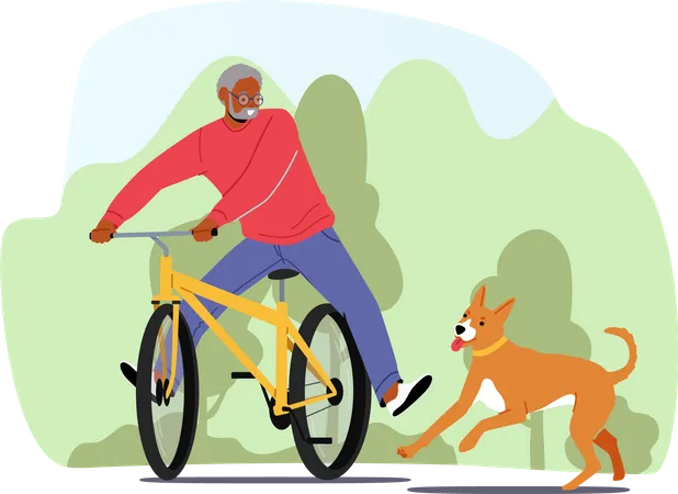 Elderly African Male Riding Bicycle With Dog at City Park Illustration