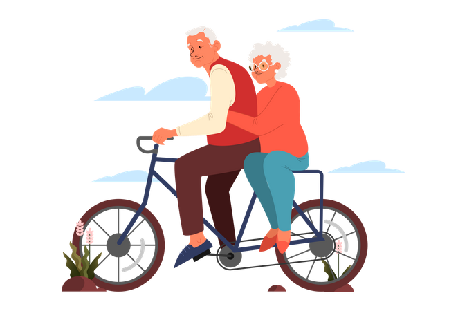 Elderly couple riding bicycle  Illustration