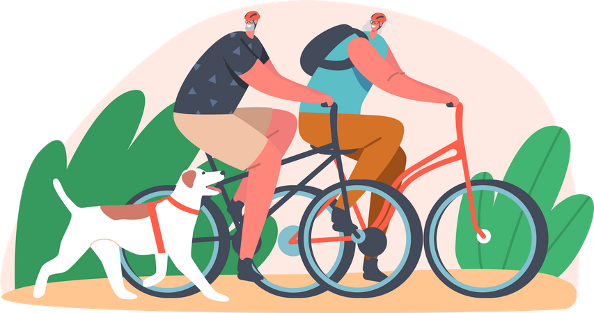 Elderly couple riding bicycle in the park with pet dog  Illustration