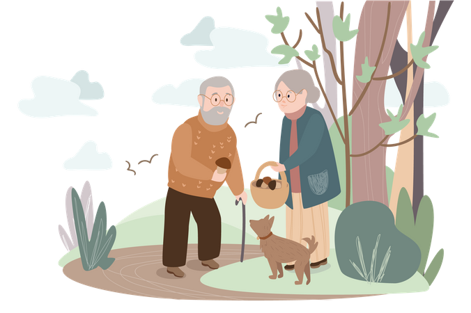 Elderly couple with dog collects mushroom  Illustration