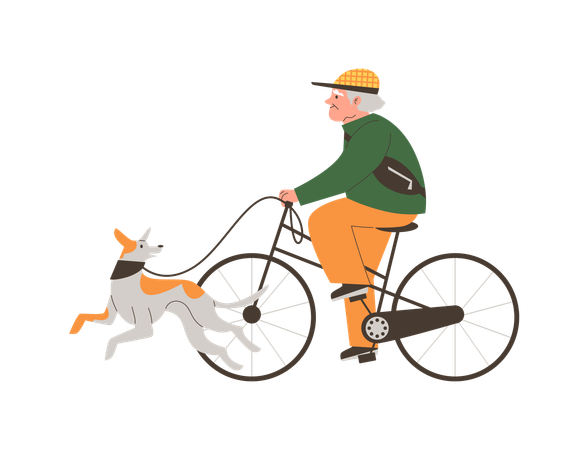 Elderly man riding bicycle with dog on leash  Illustration