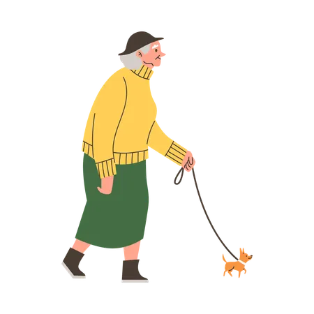 Elderly woman on walk with small dog  Illustration