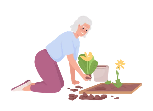 Elderly woman planting flower beds in garden  Illustration