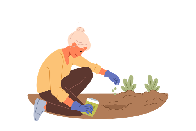 Elderly woman plants seeds in ground while planting flowers in backyard of house  Illustration