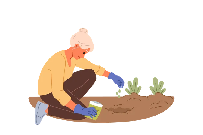 Elderly woman plants seeds in ground while planting flowers in backyard of house  Illustration