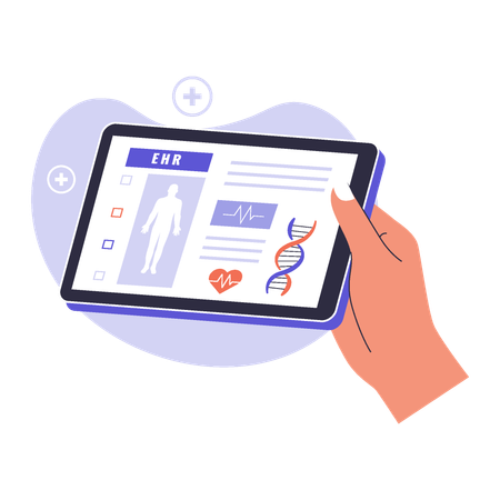 Electronic health record  Illustration