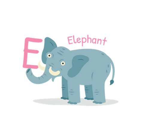 Elefant  Illustration