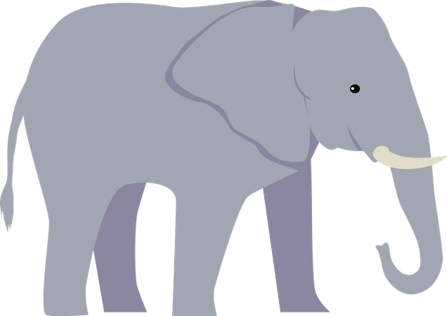 Elefante  Ilustración