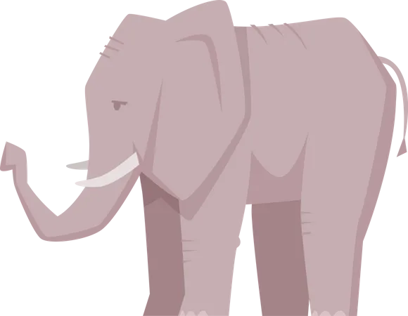Elefante  Ilustração