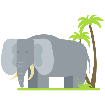 Elephant at zoo  Illustration