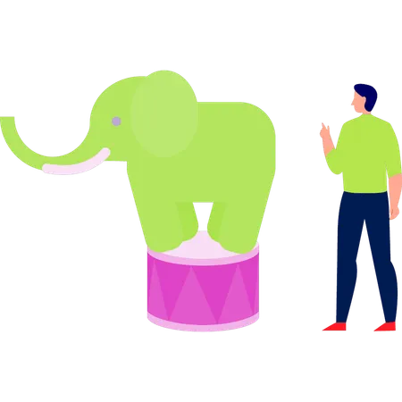 L'éléphant s'est levé sur une petite table  Illustration