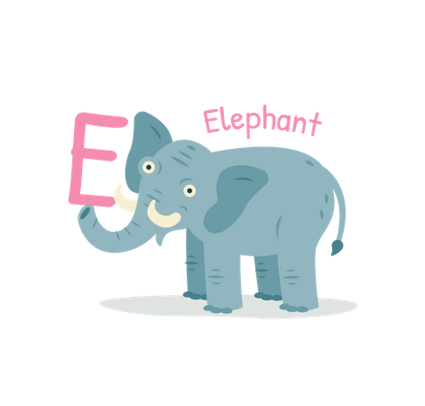 Elephant  Illustration