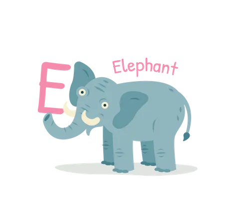 Elephant  Illustration