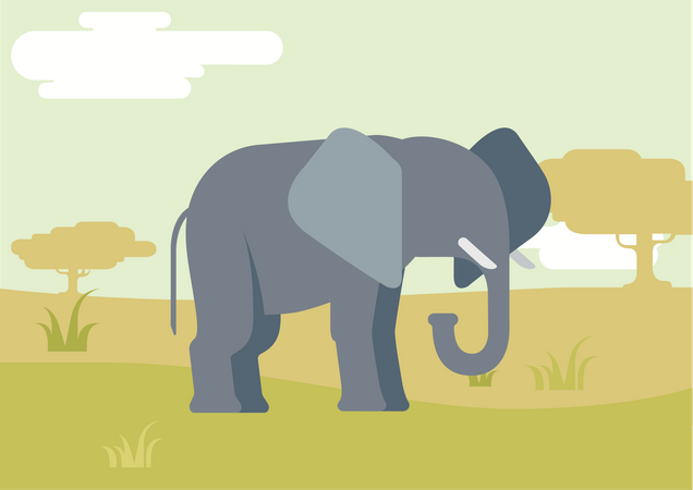 Elephant  Illustration