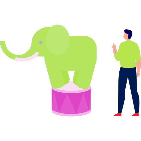 Elephant stood up on a small table  Illustration