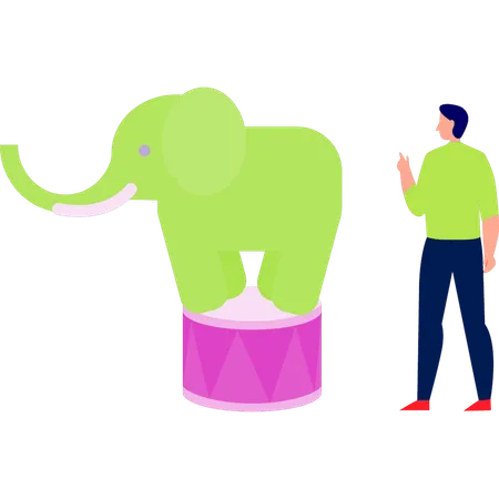 Elephant stood up on a small table  Illustration