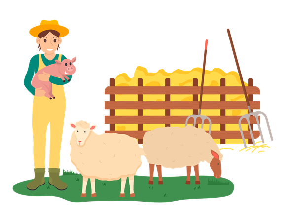 Élevage de moutons  Illustration