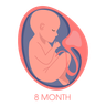 fetal growth stages illustration svg