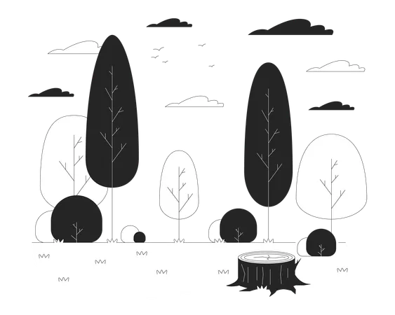 Empty Glade With Tree Stump In Wood Black And White Line Illustration Travelling To Summer Forest 2 D Lineart Objects Isolated Picturesque Landscape Monochrome Scene Vector Outline Image Illustration