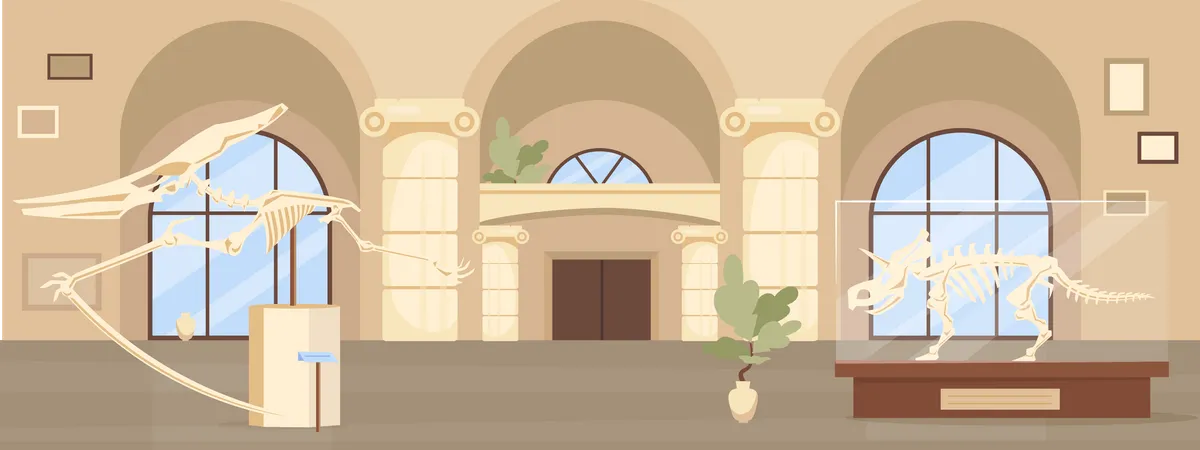 Empty Paleontology museum hall  Illustration