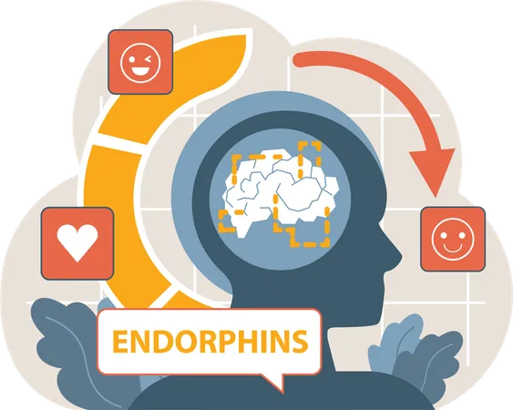 Endorphines  Illustration