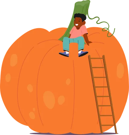 Enfant assis sur une citrouille  Illustration