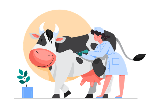 Vacinação animal, Enfermeira fazendo uma injeção de vacina em uma vaca  Ilustração