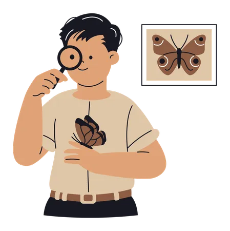 Entomologist doing research  Illustration