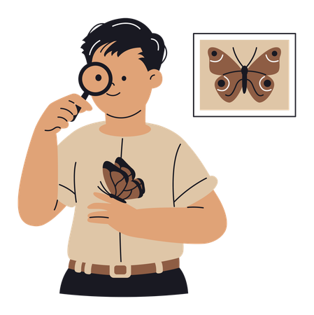 Entomologista fazendo pesquisa  Ilustração