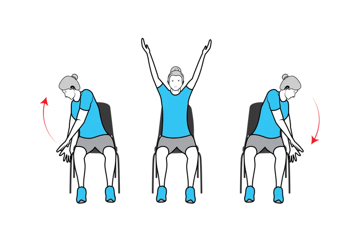 Entraînement de flexion de la taille effectué par des femmes  Illustration